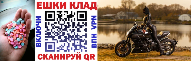 Купить закладки  Вилючинск  ЭКСТАЗИ Philipp Plein 