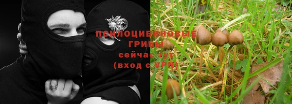 каннабис Новодвинск