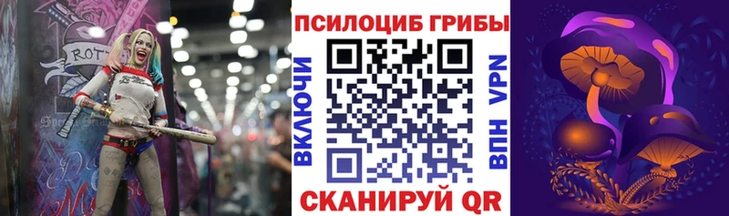 Купить  Вилючинск  Псилоцибиновые грибы прущие грибы 